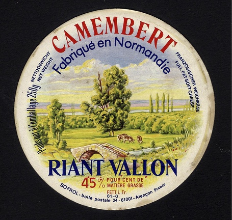 camembert-008