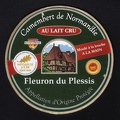 camembert-011