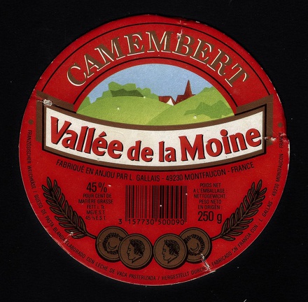 camembert-017