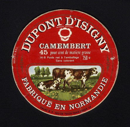 camembert-100