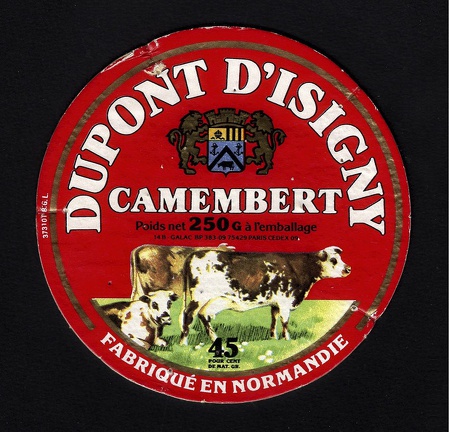 camembert-101