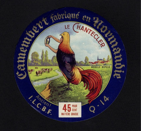camembert-108