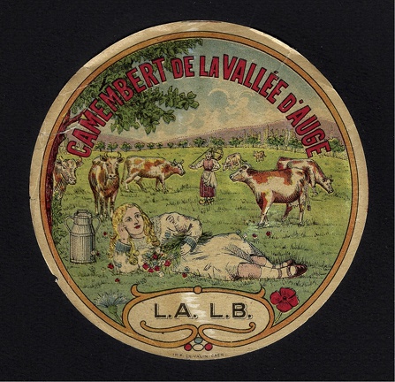 camembert-117