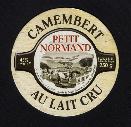 camembert-125