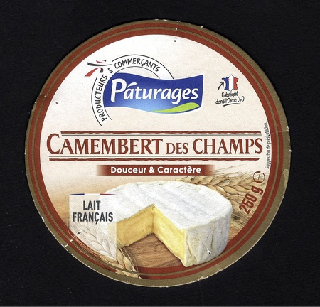 camembert-166