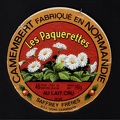 camembert-176