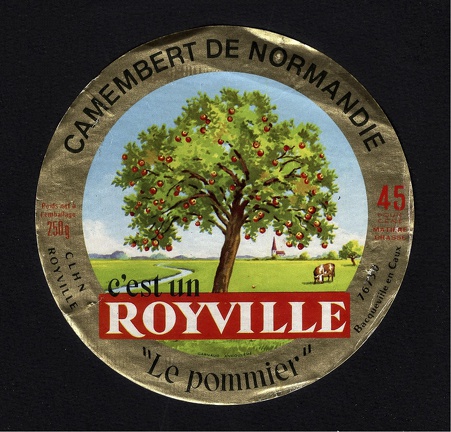 camembert-184