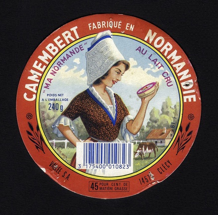 camembert-201