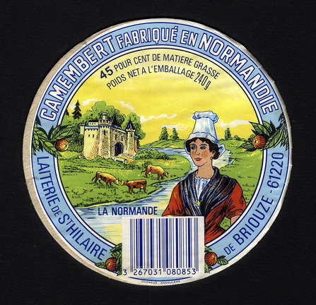 camembert-203