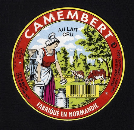 camembert-217