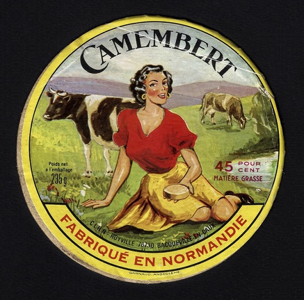 camembert-263