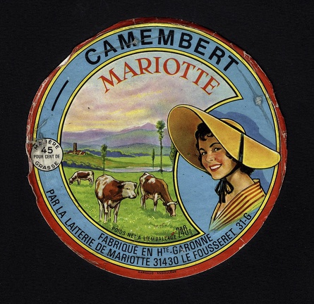 camembert-277