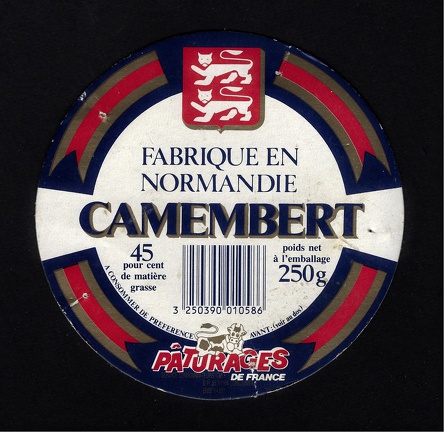 camembert-307