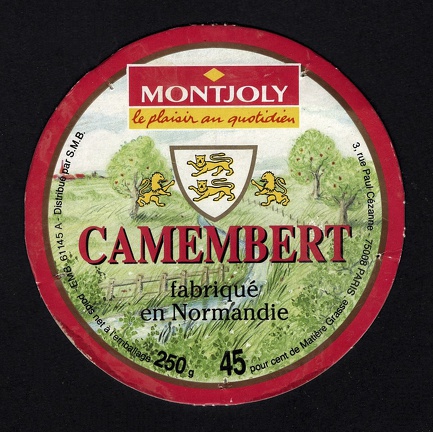 camembert-308