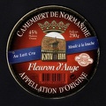 camembert-311