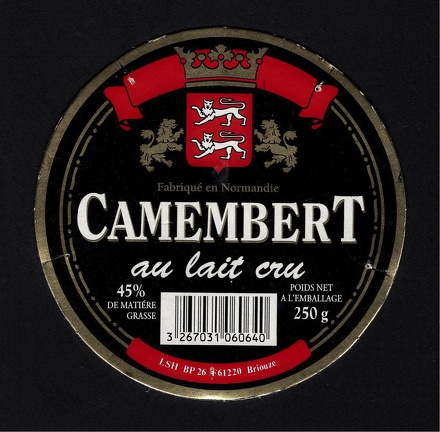 camembert-312