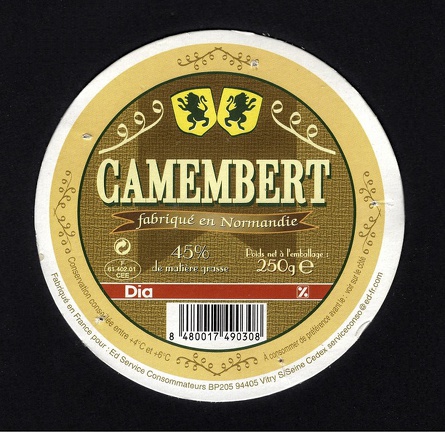 camembert-313