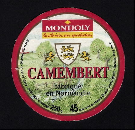 camembert-339
