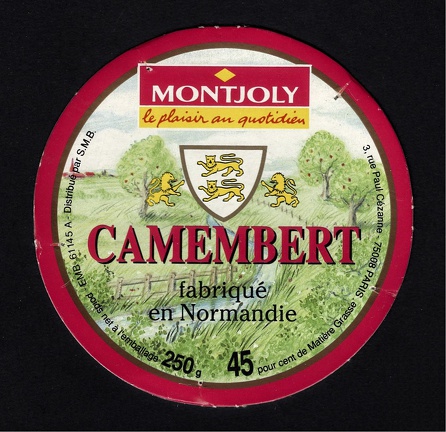 camembert-374
