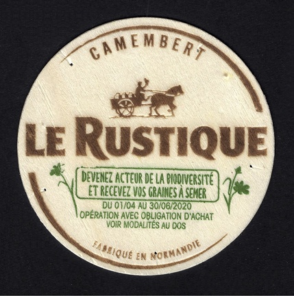 camembert-393