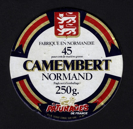 camembert-400