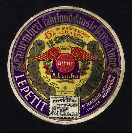 camembert-427