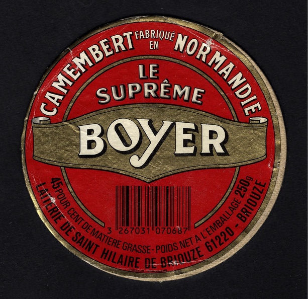 camembert-448.jpg