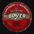 camembert-460