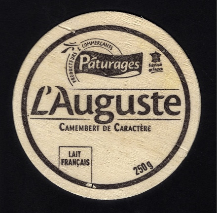 camembert-471