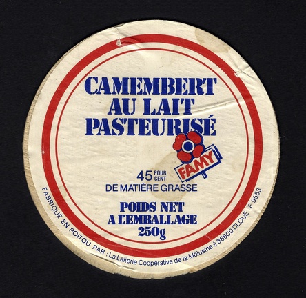 camembert-478