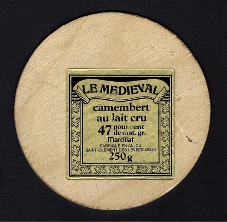 camembert-480