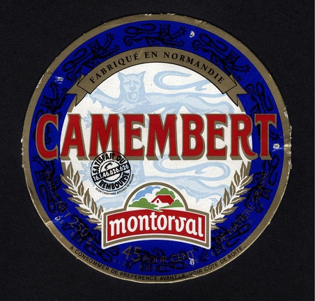 camembert-489