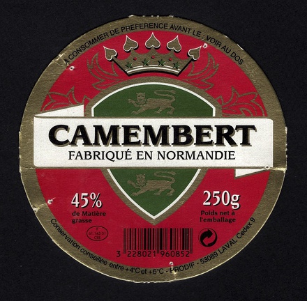 camembert-495