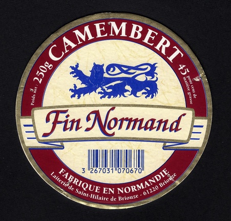 camembert-498