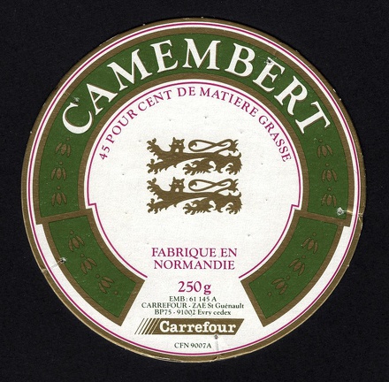camembert-501