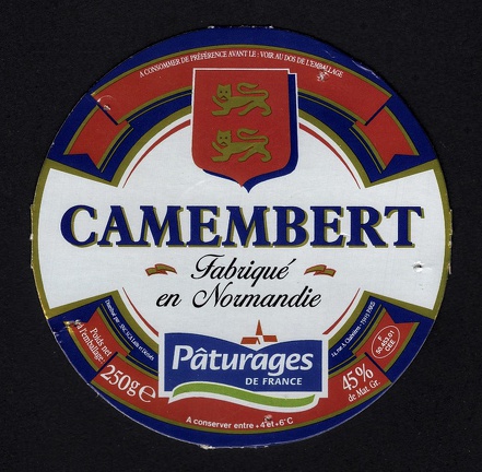 camembert-534