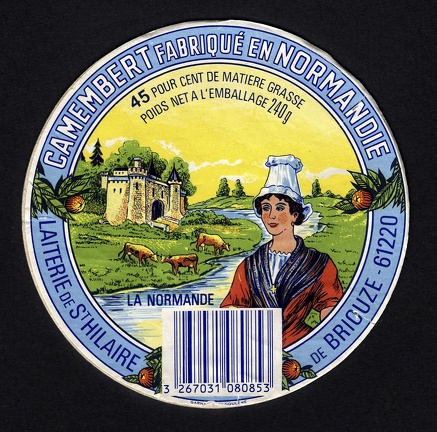 camembert-563