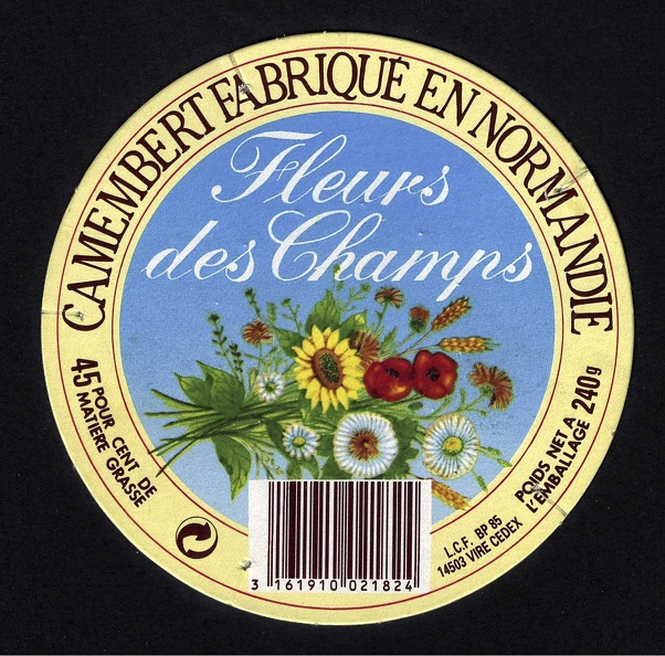 camembert-569.jpg