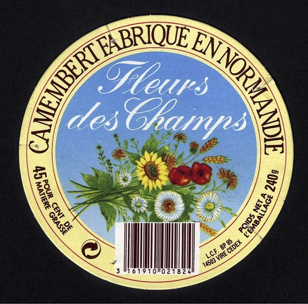 camembert-569