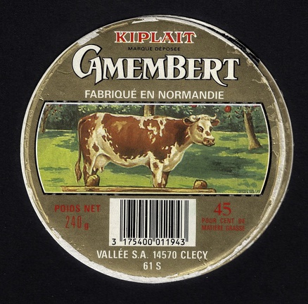 camembert-572