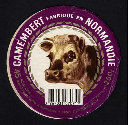 camembert-573