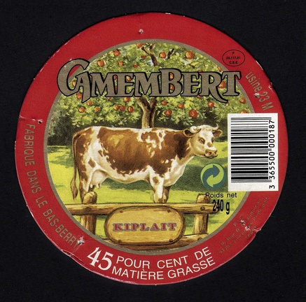 camembert-575