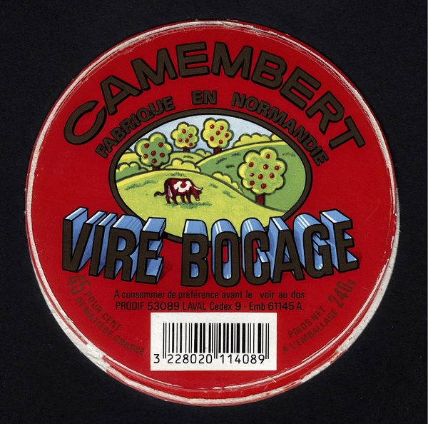 camembert-576.jpg