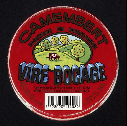 camembert-576