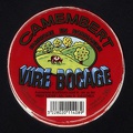 camembert-576