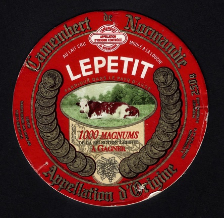 camembert-579