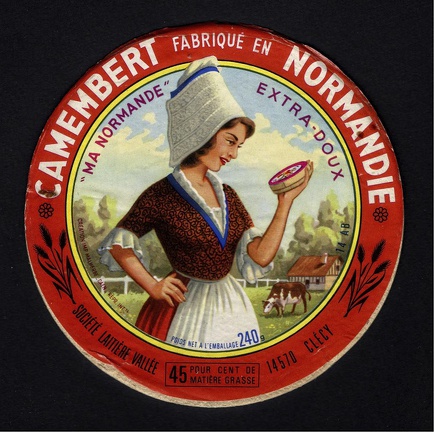 camembert-591