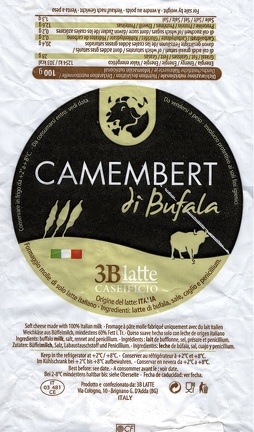 camembert-601