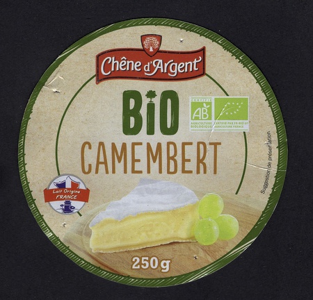 camembert-602