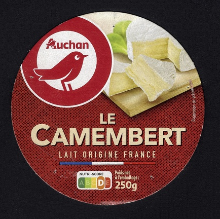 camembert-608